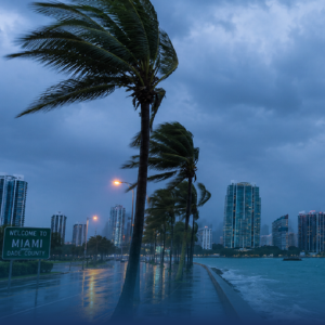 Hurricane Preparedness