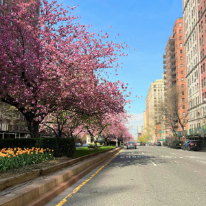 Springtime Image
